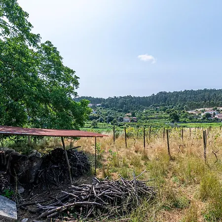 Quinta De Malta
