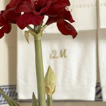 منزل ريفي Quinta De Malta