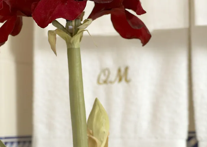 Landhaus Quinta De Malta