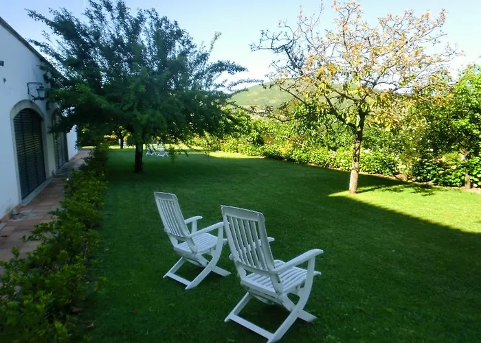 Quinta De Malta Lantställe Durrães